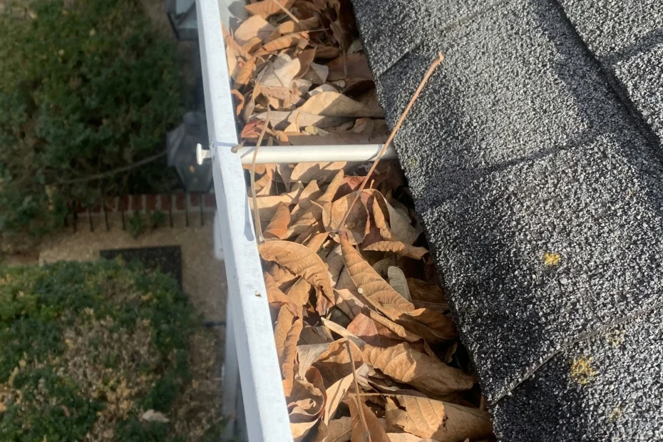 Gutter Cleaning Aynor