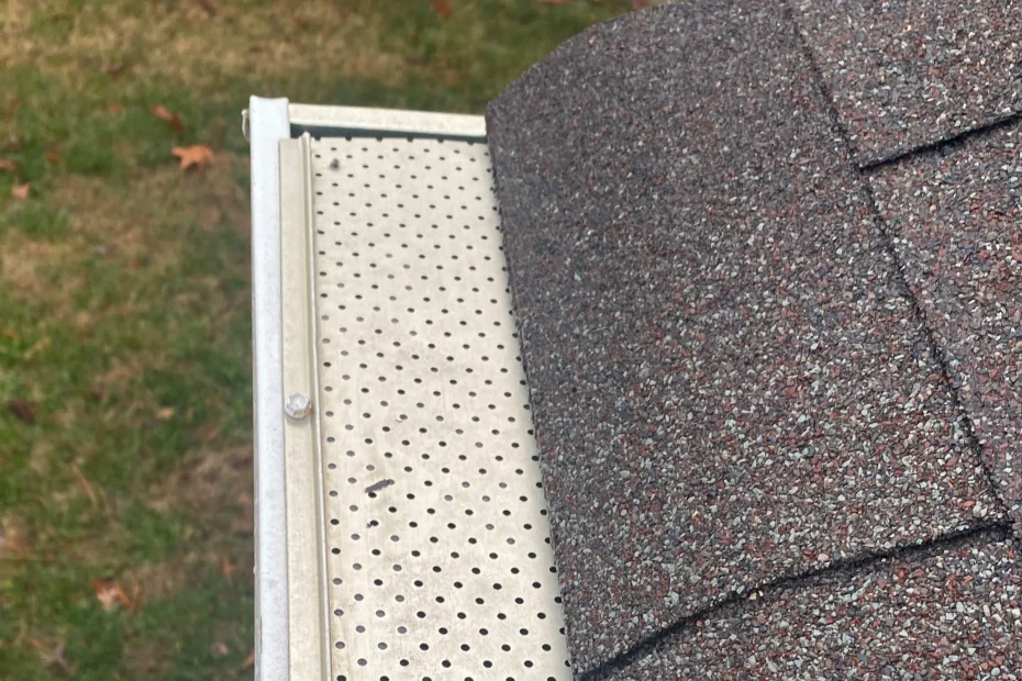 Gutter Cleaning Aynor