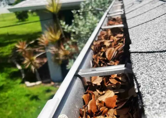 Gutter Cleaning Aynor home page